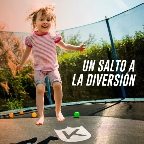 Cama Elástica Chica 2.45 C/escalera Hasta 120kg Niños Adulto