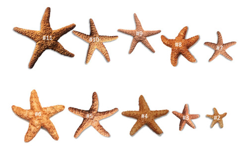 Estrellas De Mar Para Decorar Bodas Artificiales