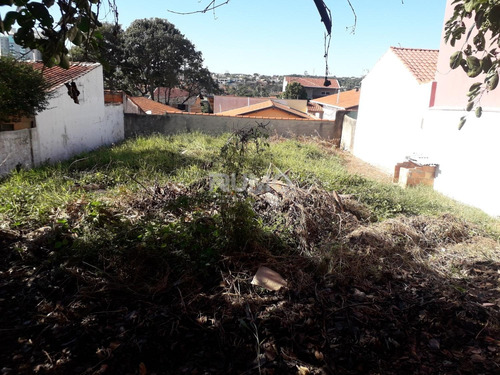 Imagem 4 de 5 de Terreno À Venda Em Parque São Quirino - Te011908