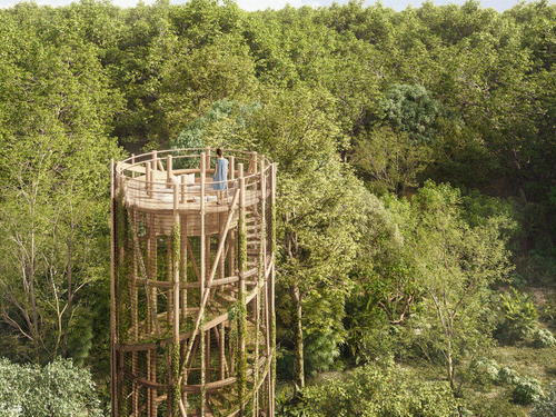 Terreno En Venta En Tulum, Selvadentro, Residenciales En La Selva
