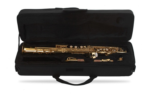 Imagen 1 de 1 de Saxofón Soprano Aileen Profesional - Envío Gratis 
