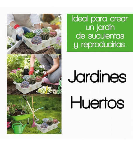 Charola Moderna Rectangular Para Suculentas - Smart Garden Color Blanco