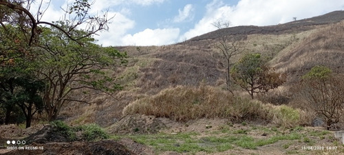 Jc - Terreno 8.000 M2. Alquiler O Venta. Frente A La Autopista Regional Del Centro - Paracotos. Edo Miranda