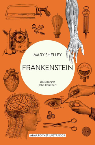 Libro Frankenstein ( Pocket ) - Shelley M