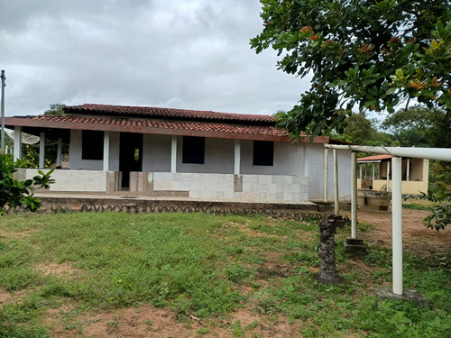Chácara Com Casa Três Quartos Sala De Estar Cozinha E Dois B
