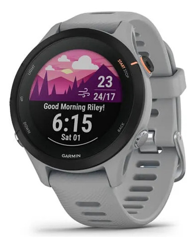 Smartwatch Garmin Forerunner 255s Gris