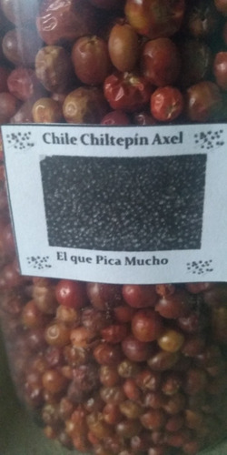 Chile Chiltepin Silvestre Sierra De Chihuahua 150 Gramos