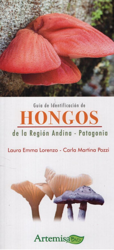 Guia De Identificacion De Hongos - Bio, de No Aplica. Editorial Artemisa, tapa blanda en español