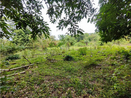 Lote Terreno En Sopetran A 6 Minutos Del Pueblo