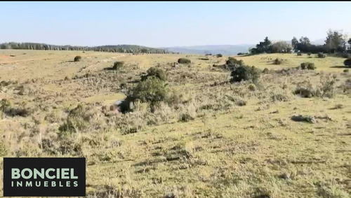 Chacra 5,6 Hectareas Ideal Emprendimiento Turístico