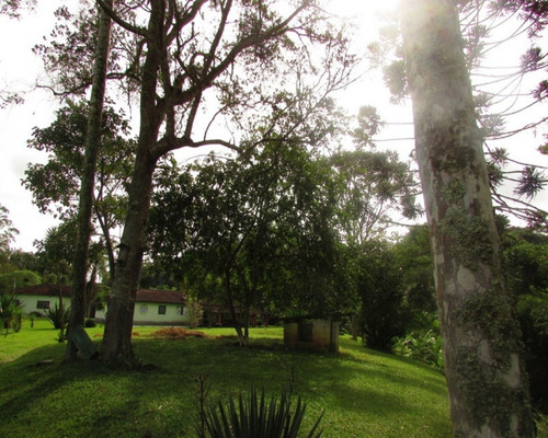 Imagem 2 de 12 de Chacara - 04350 - 33229076