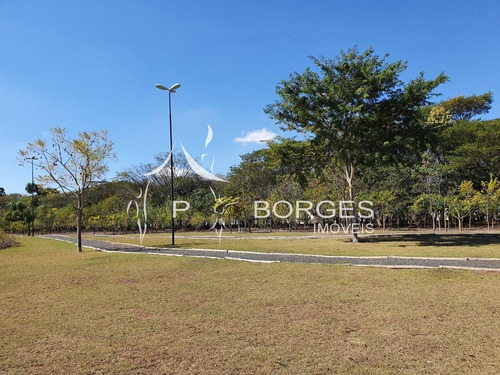 Imagem 6 de 6 de Terreno À Venda Em Cascata - Te001381