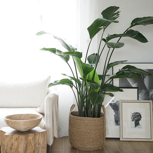 2pcs Jardín Maceta Jardinera