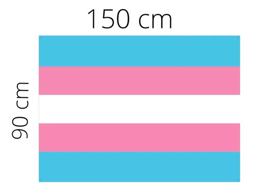 Bandeira Lgbt Trans 90x150 Dupla Face Alta Definição Cor