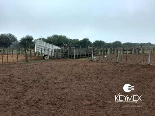 Imagen 6 de 10 de Campo Ganadero - Nueva Galia - Dupuy - San Luis