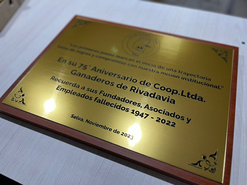 Placa Recordatoria Corporativa 20x30cm 