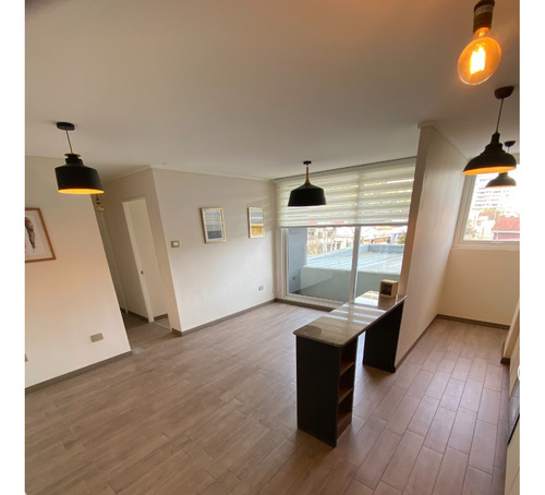 Arriendo Lindo Depto Pedro De Valdivia
