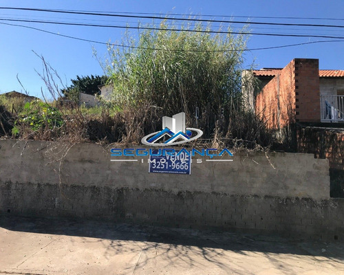 Imagem 2 de 5 de Terreno Vila Alberto Simões 415 M² - Te00243 - 32804970
