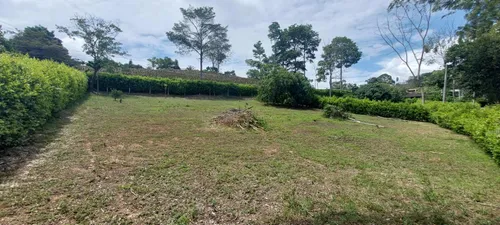 Lote De 1250m2
