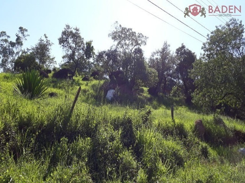 Imagem 3 de 4 de Terreno - Te00339