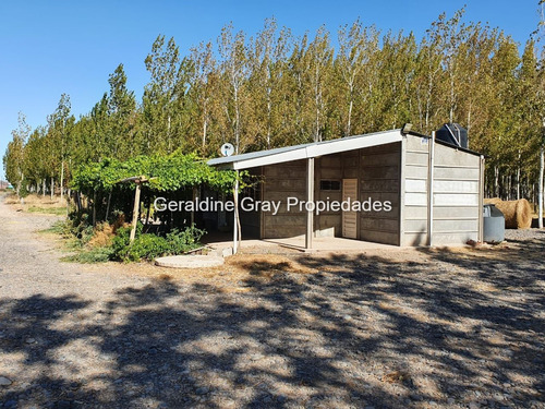 Campo En Venta De 70 Has Ubicado En Tratayen