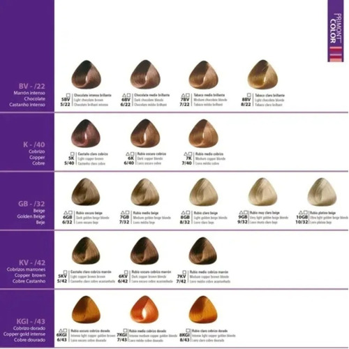 12 Tinturas Primont Color Coloración Profesional 120g