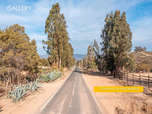 Terreno En Catapilco, Camino Ex La Hacienda