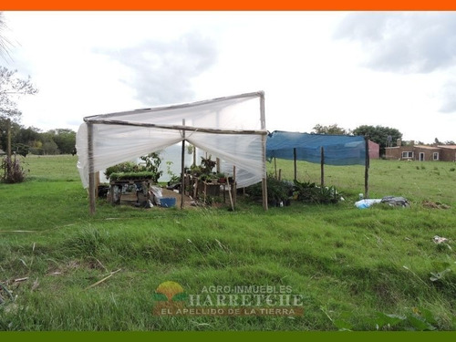 Venta De Chacra 1.8 Has En El Colorado, Canelones