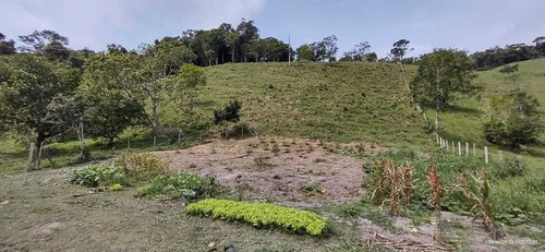 Imagem 11 de 14 de Miracatu/sitio Com 03 Lagos/pasto/curral/ref: 05068