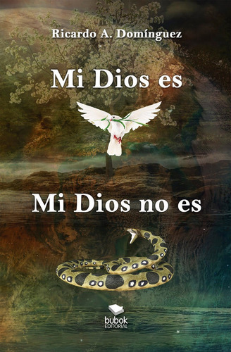 Mi Dios es, mi Dios no es, de Domínguez, Ricardo A.. Editorial Bubok Publishing, tapa blanda en español