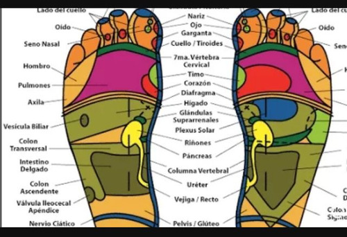 Reflexología A Domicilio 