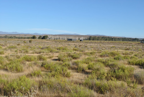 Terreno En Venta En Tongoy Excelente Oportunidad