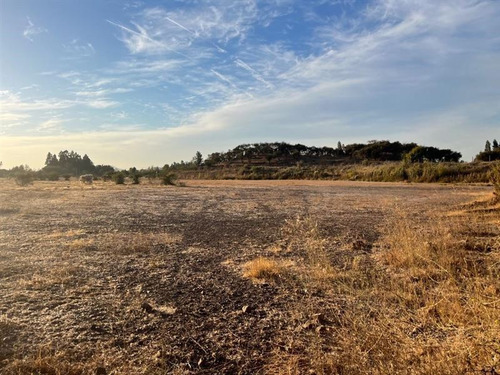 Imagen 8 de 8 de Agrícola En Venta En Curicó