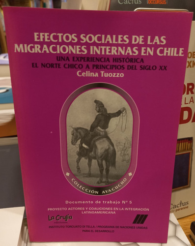 Efectos Sociales De Las Migraciones Internas En Chile
