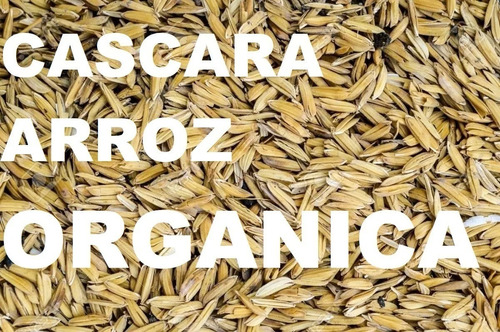 Cascarilla Arroz 100% Organica, Sin Veneno!!! X 3 Kg (25 L)