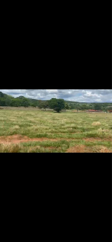 Imagem 9 de 14 de Fazenda Dupla Aptidão Município Brasilândia