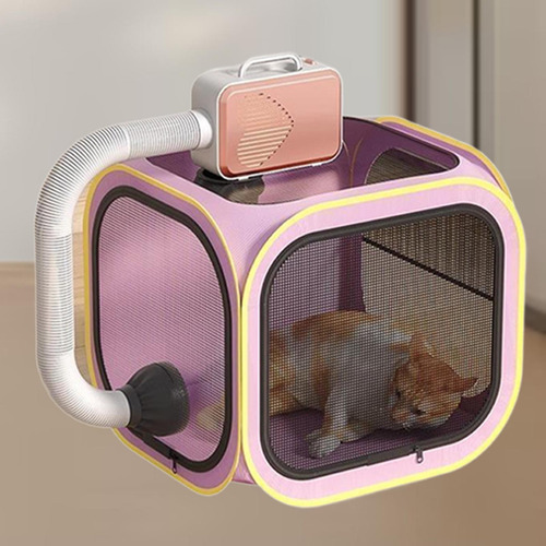 Secador De Pelo Para Perros Y Gatos, Habitación Limpia Y De