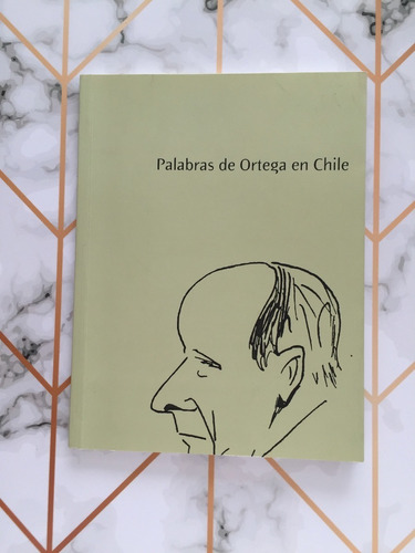 Palabras De Ortega En Chile