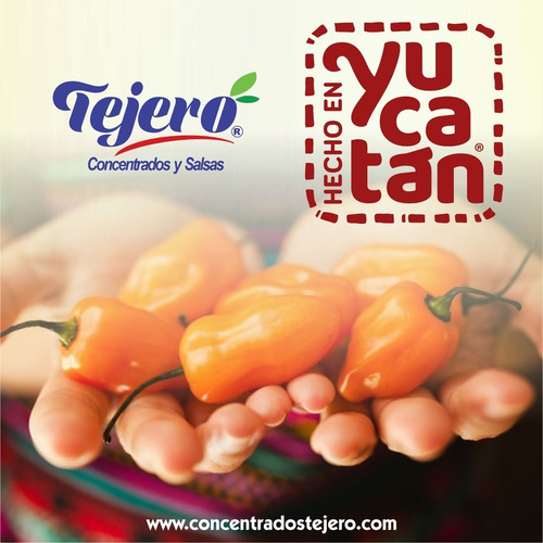 Salsa De Chile Habanero Tejero 150 Ml Pack Surtido De 24 Pz