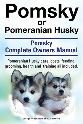 Pomsky O Pomeranian Husky El Mejor Manual Para Perros Pomsky