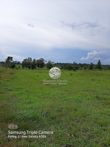 Imagem 1 de 11 de Venda Sítio Vale Do Anari Em Rondônia - Sig309