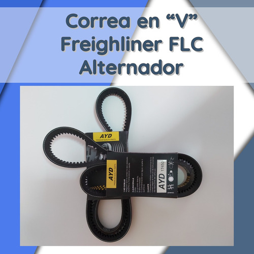 Correa En V Freightliner Flc 6l/cummins N14 Alternador