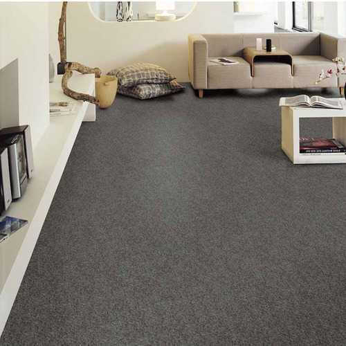 Alfombra De Suo Rudo Ideal Para Areas Interiores