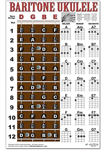 Notas Del Diapasón Del Ukelele Barítono Y Póster Instructivo