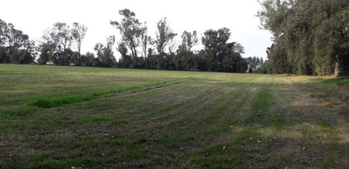 Imagen 6 de 13 de Rancho En Venta En Teoloyucan