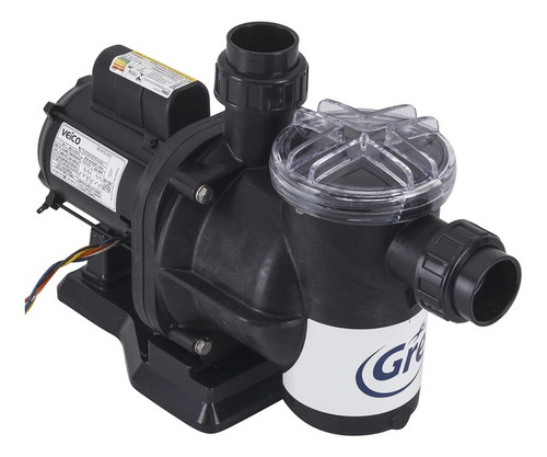 Moto Bomba Gre 1/3 Cv Ip21 110/220v Com Filtro 20 Mil Litros 127/220v