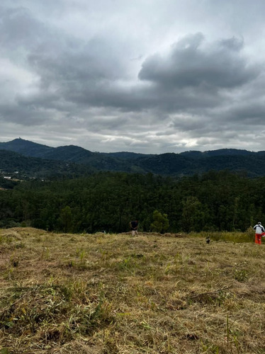 Imagem 7 de 9 de Terreno 600 M² Com Área Verde