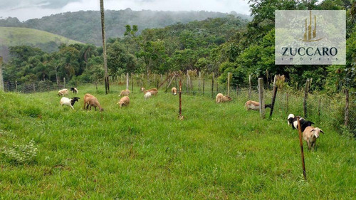 Chácara Rural À Venda, Jardim São Domingos, Arujá - Ch0067