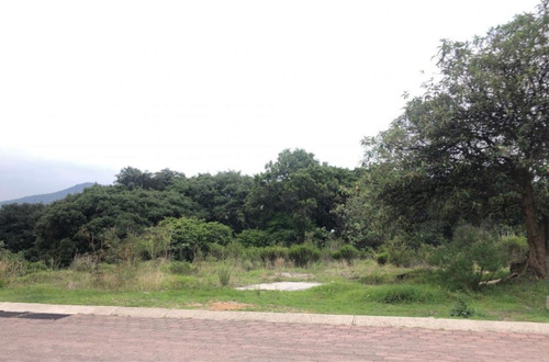 Terreno En Venta Rancho San Juan Cod. Vte727