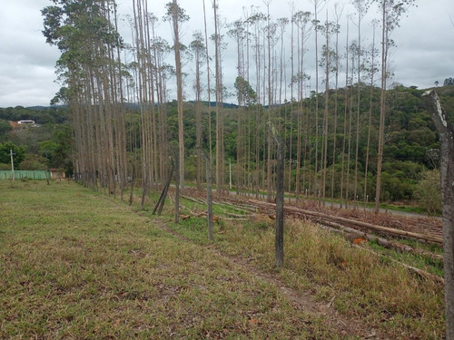 Imagem 8 de 14 de 16- Terrenos 100% Documentados, Arujá-santa Isabel